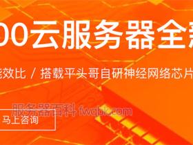 阿里云含光800云服务器(含光NPU)