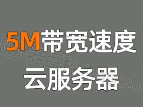 云服务器5M带宽是什么速度?下载和上传速度快吗?