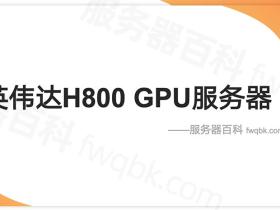 NVIDIA H800 GPU服务器价格表_英伟达H800配置费用_AI服务器收费标准