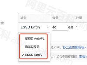 阿里云服务器系统盘ESSD Entry、ESSD云盘和ESSD AutoPL区别、性能和选择