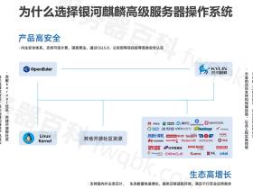 银河麒麟高级服务器操作系统V10,支持X86版和ARM版