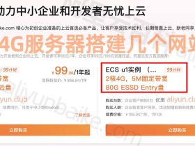 阿里云2核4G服务器能搭建几个网站？性能如何？