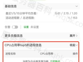 宝塔BT面板CPU占用率top5的进程信息功能使用说明