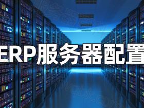 ERP服务器配置价格_ERP系统云服务器收费_ERP专用主机推荐