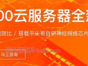 阿里云含光800云服务器（含光NPU）