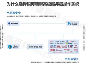 银河麒麟高级服务器操作系统V10，支持X86版和ARM版